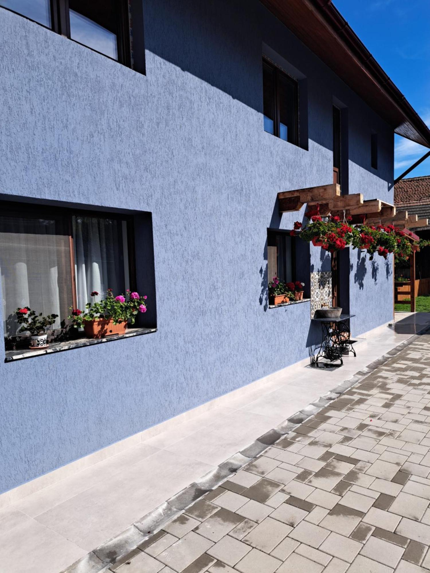 فيلا Casa Rustica Saceleana المظهر الخارجي الصورة