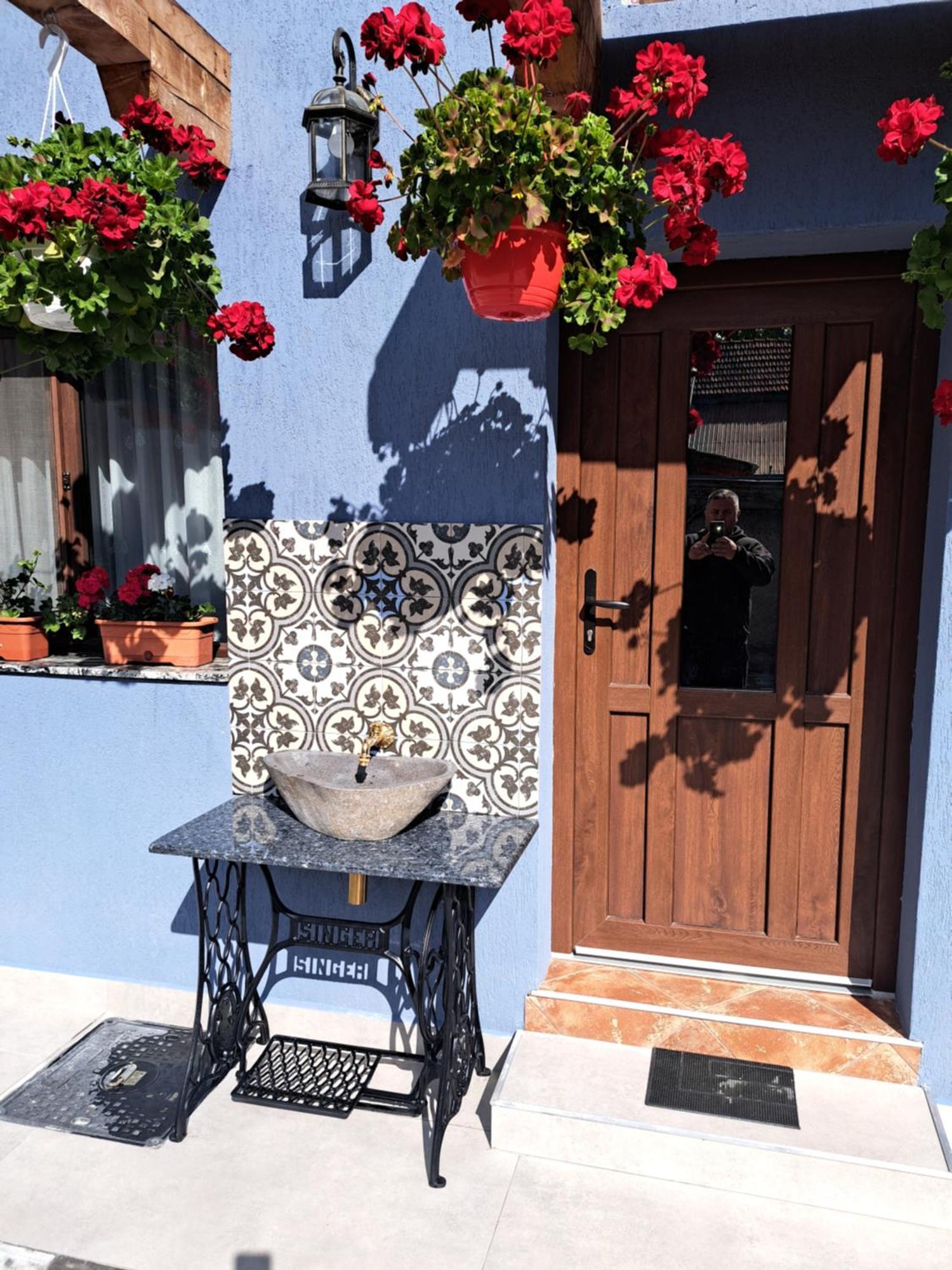 فيلا Casa Rustica Saceleana المظهر الخارجي الصورة