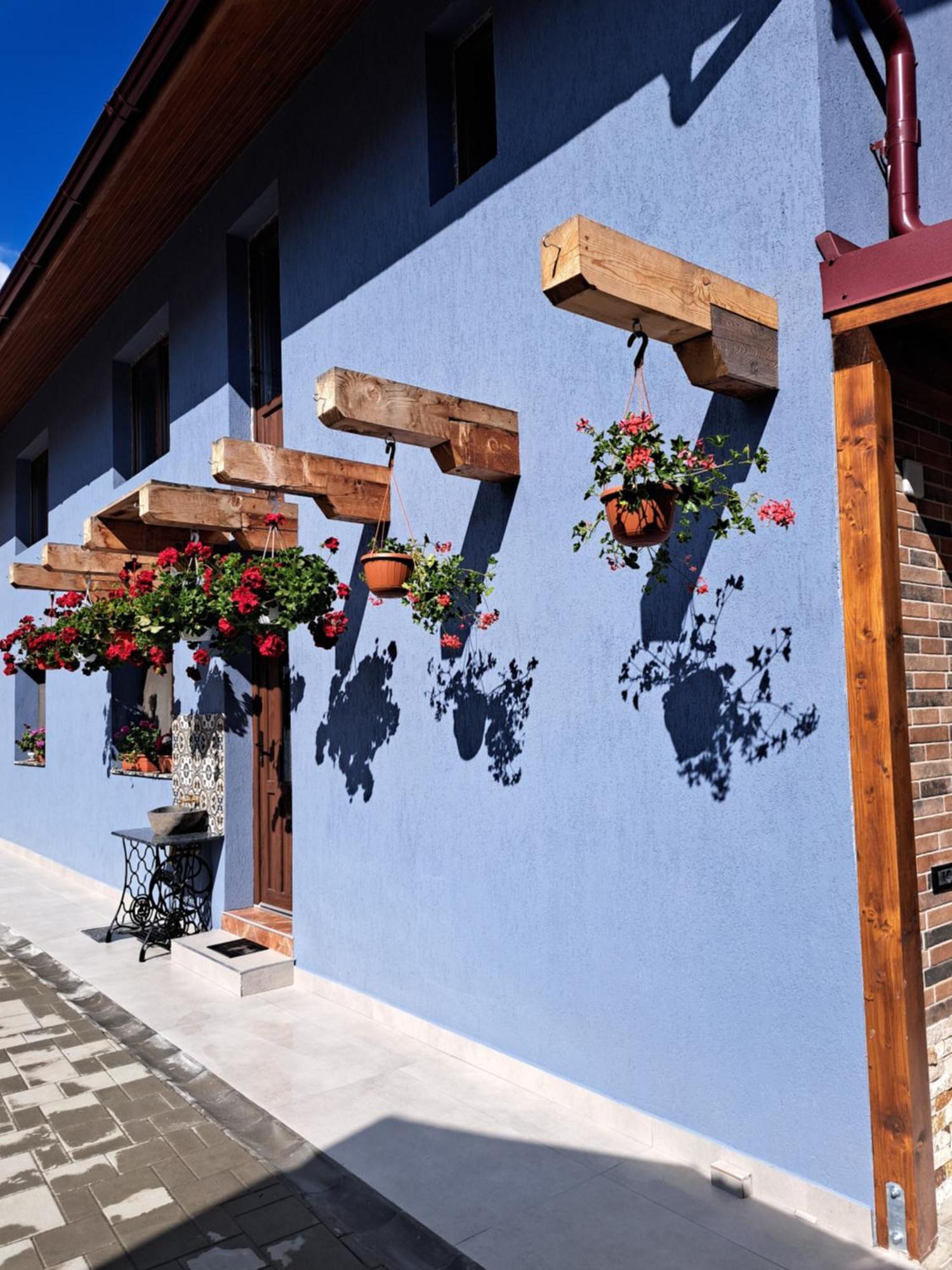 فيلا Casa Rustica Saceleana المظهر الخارجي الصورة